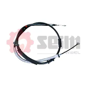 556191 SEIM