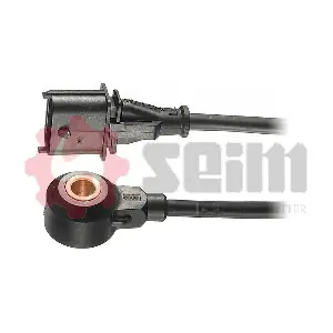 CC43 SEIM