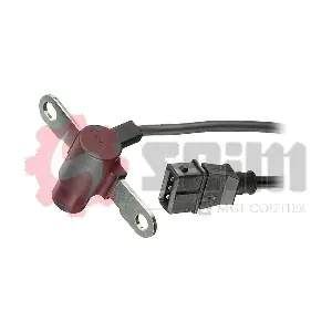 CP166 SEIM