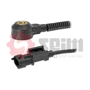 CC111 SEIM