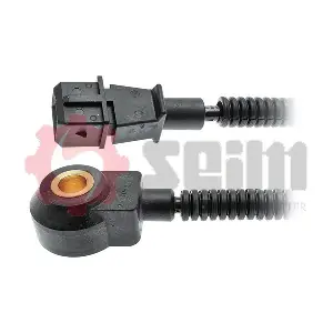 CC107 SEIM