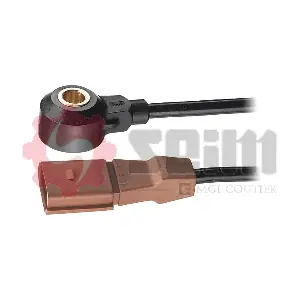 CC19 SEIM