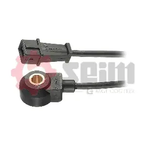 CC44 SEIM