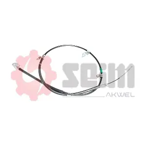 555887 SEIM