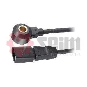 CC25 SEIM
