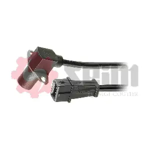 CP111 SEIM