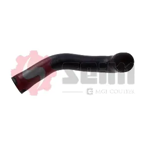 981355 SEIM