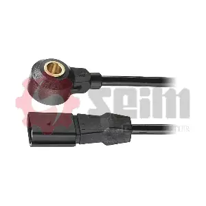 CC23 SEIM