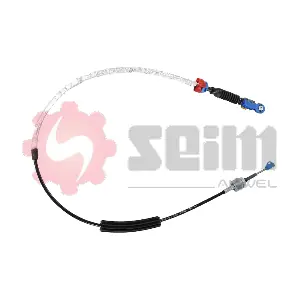 555300 SEIM