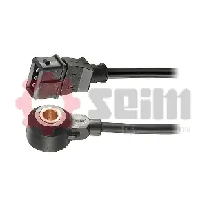 CC41 SEIM