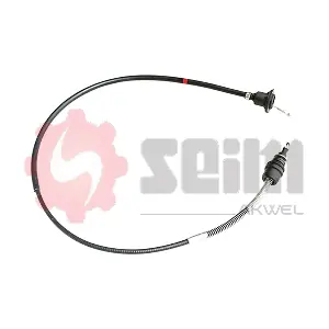 555806 SEIM