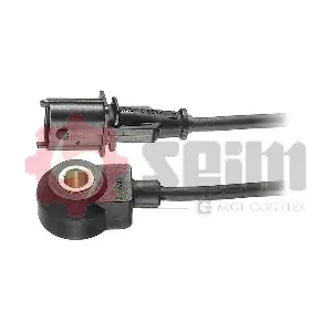 CC16 SEIM