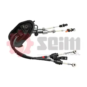 556306 SEIM
