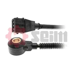 CC109 SEIM