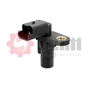 CP325 SEIM