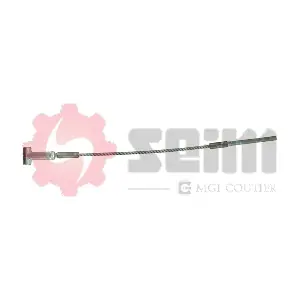 653298 SEIM
