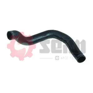 981503 SEIM