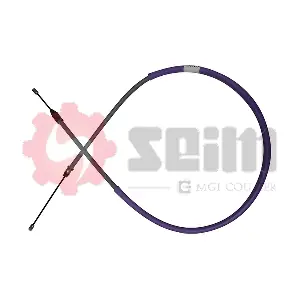 555113 SEIM