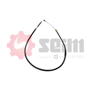 554313 SEIM