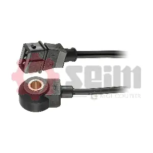 CC11 SEIM