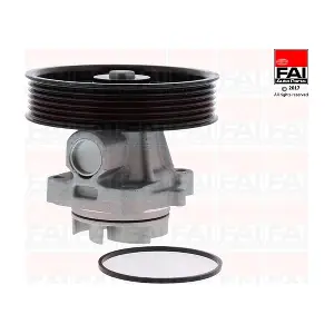 FAI AutoParts WP6348