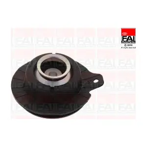 SS10294 FAI AutoParts