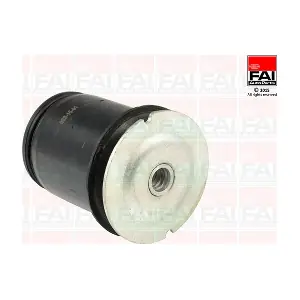 SS8041 FAI AutoParts