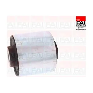 SS10391 FAI AutoParts
