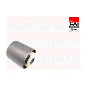 SS9213 FAI AutoParts