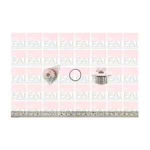FAI AutoParts WP2492