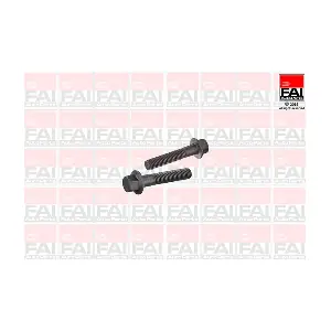 FAI AutoParts SS9254BK