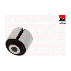 SS9889 FAI AutoParts