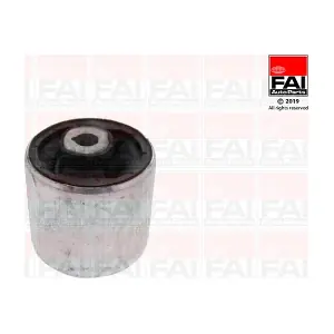 SS10196 FAI AutoParts