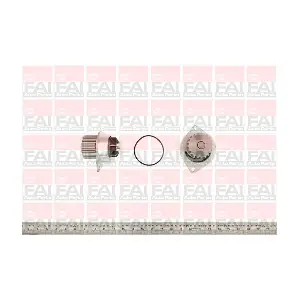 FAI AutoParts WP6084