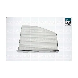 FPCF100 FAI AutoParts