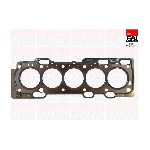 HG1389C FAI AutoParts