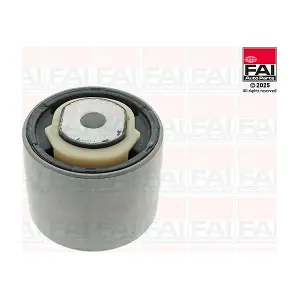 SS11087 FAI AutoParts