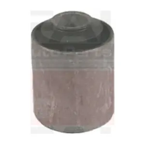 SS4256 FAI AutoParts