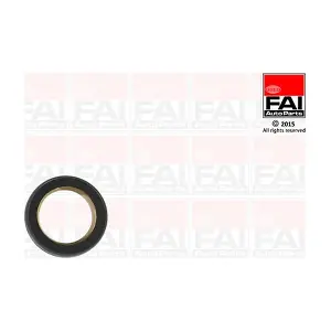 FAI AutoParts OS1078