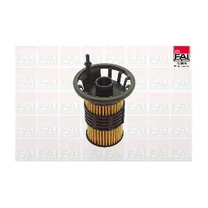 FAI AutoParts FF110