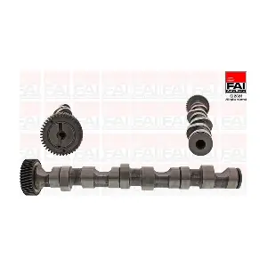 C247 FAI AutoParts
