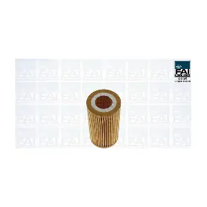 FAI AutoParts FPOF191