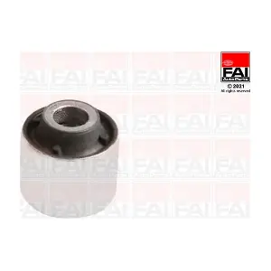 SS10560 FAI AutoParts