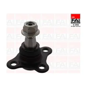 SS10618 FAI AutoParts