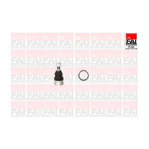 SS6231 FAI AutoParts