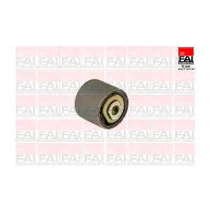 FAI AutoParts SS1318