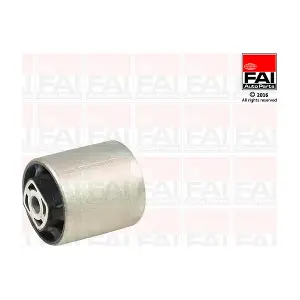 SS7178 FAI AutoParts