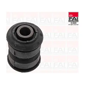SS11196 FAI AutoParts