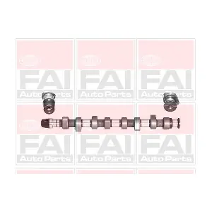C305 FAI AutoParts