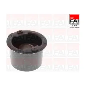 SS10387 FAI AutoParts